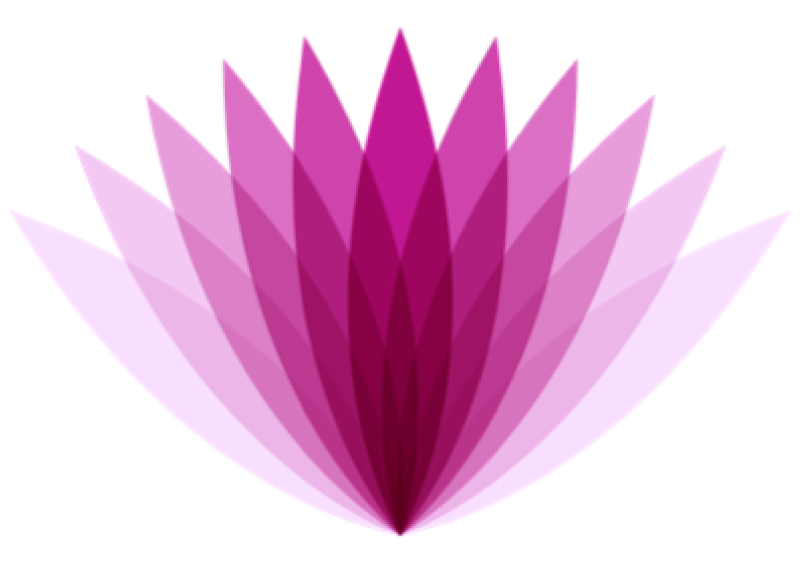 Flor logo San Miguel